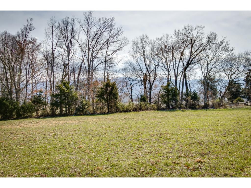 727 Mayberry Road Jonesborough, TN 37659 - Photo 29 of 36 Photo 29