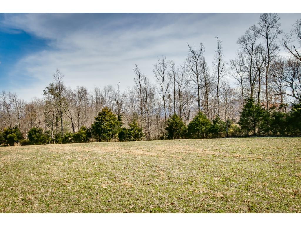 727 Mayberry Road Jonesborough, TN 37659 - Photo 30 of 36 Photo 30