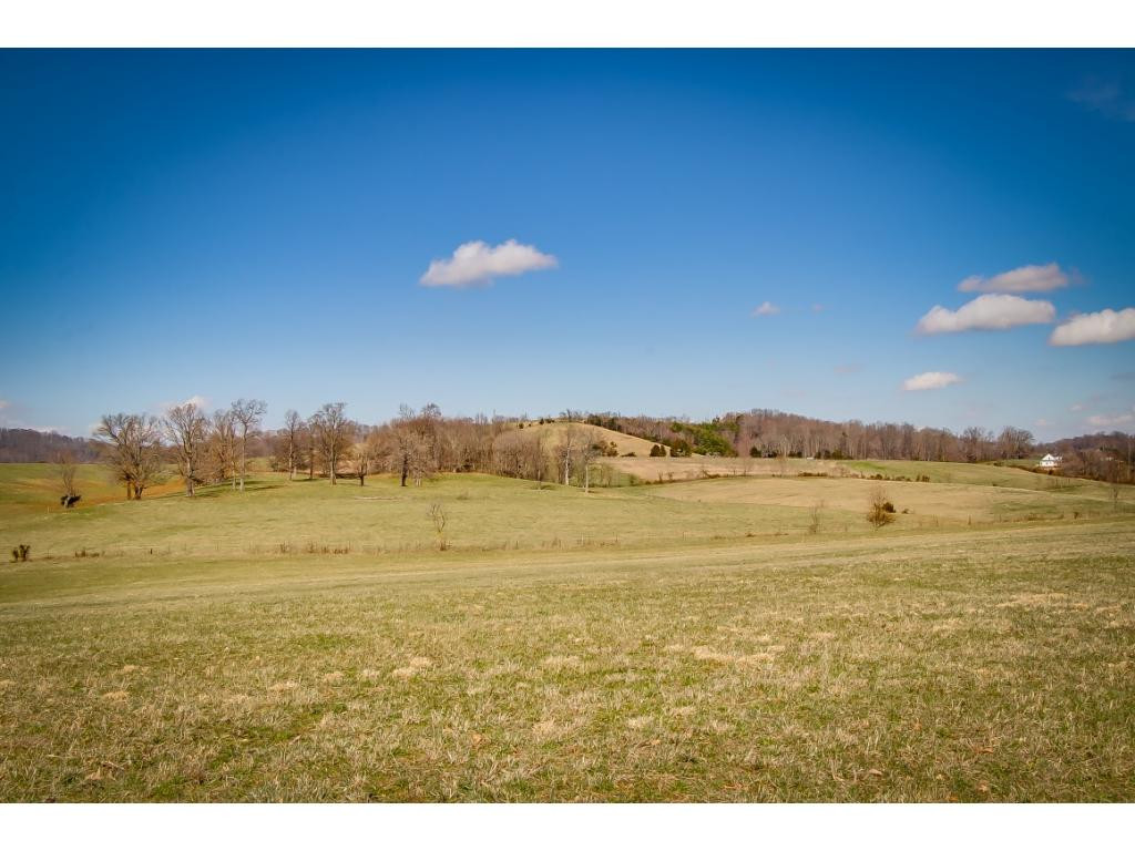 727 Mayberry Road Jonesborough, TN 37659 - Photo 31 of 36 Photo 31