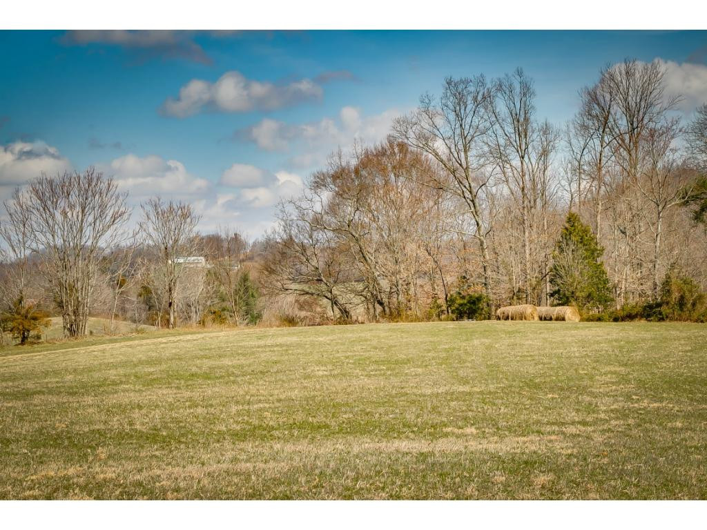 727 Mayberry Road Jonesborough, TN 37659 - Photo 32 of 36 Photo 32