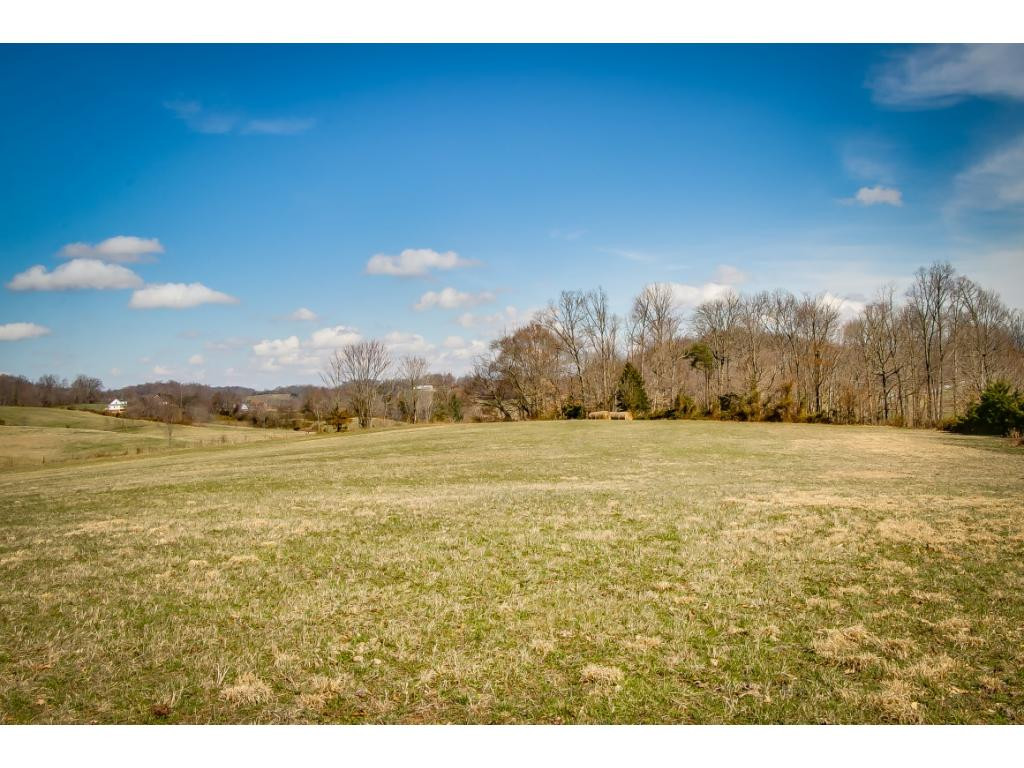 727 Mayberry Road Jonesborough, TN 37659 - Photo 33 of 36 Photo 33