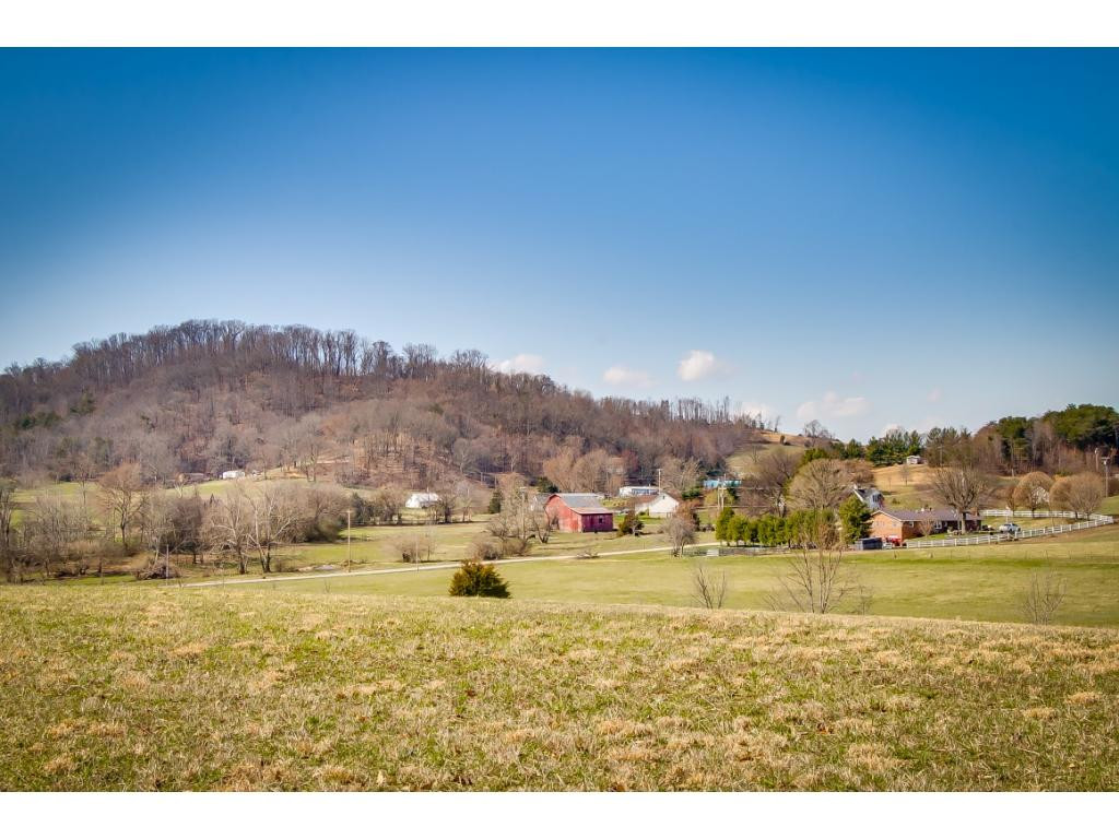 727 Mayberry Road Jonesborough, TN 37659 - Photo 34 of 36 Photo 34