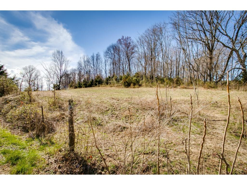 727 Mayberry Road Jonesborough, TN 37659 - Photo 5 of 36 Photo 5
