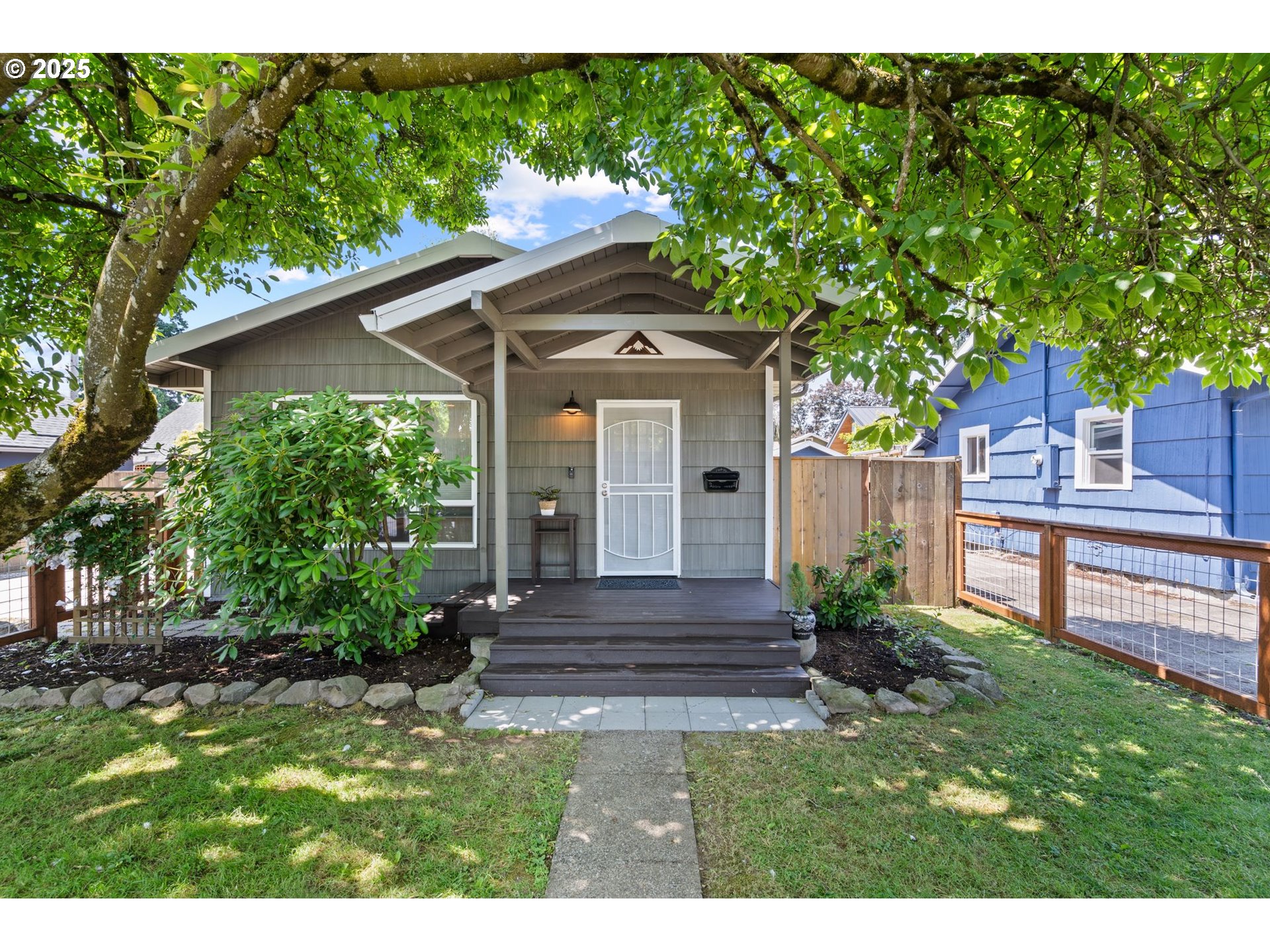 a view of a house with a yard plants and large tree