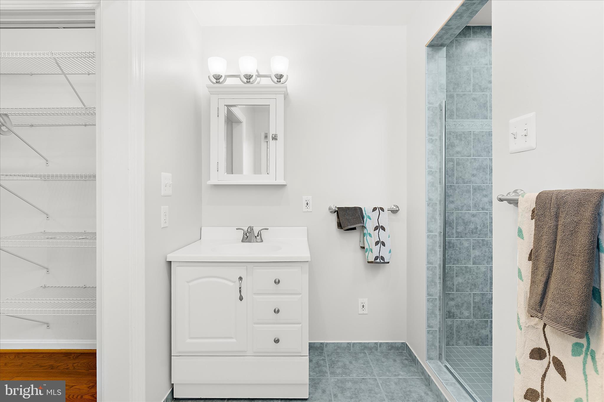 4717 Edgefield Road Bethesda, MD 20814 - Photo 36 of 85 Primary Bathroom