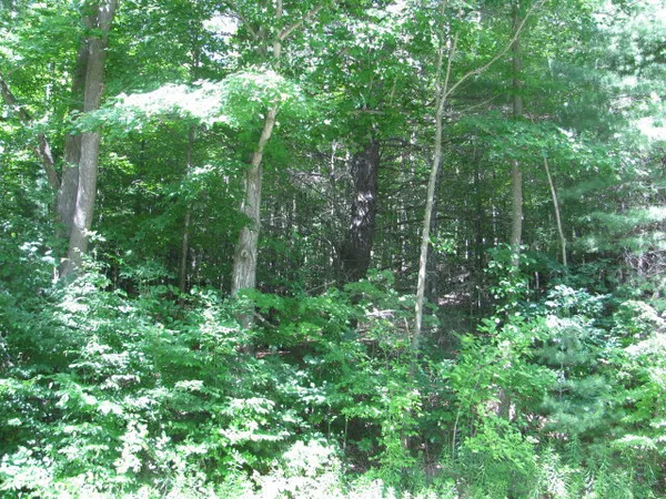 $330,000 | 62054 Highway 415, Cohocton, NY 14826
