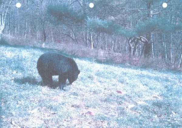 $330,000 | 62054 Highway 415, Cohocton, NY 14826