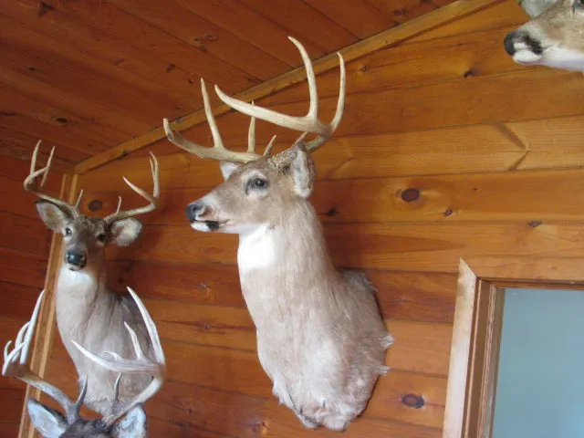 $330,000 | 62054 Highway 415, Cohocton, NY 14826