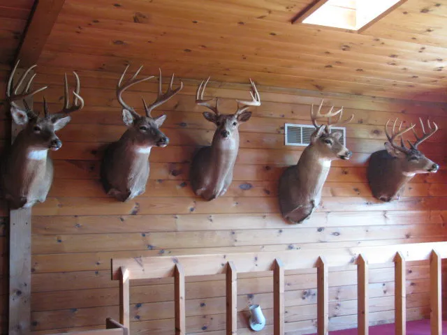 $330,000 | 62054 Highway 415, Cohocton, NY 14826