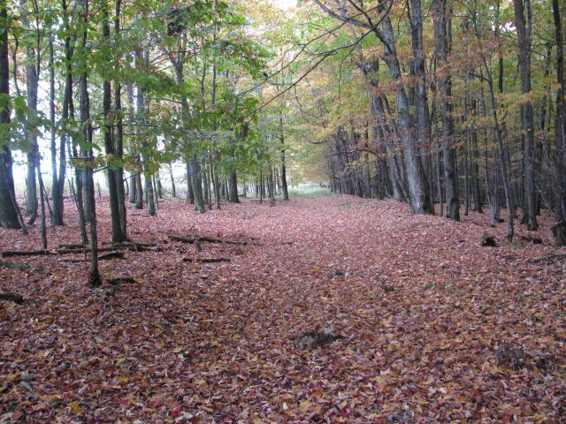 $330,000 | 62054 Highway 415, Cohocton, NY 14826