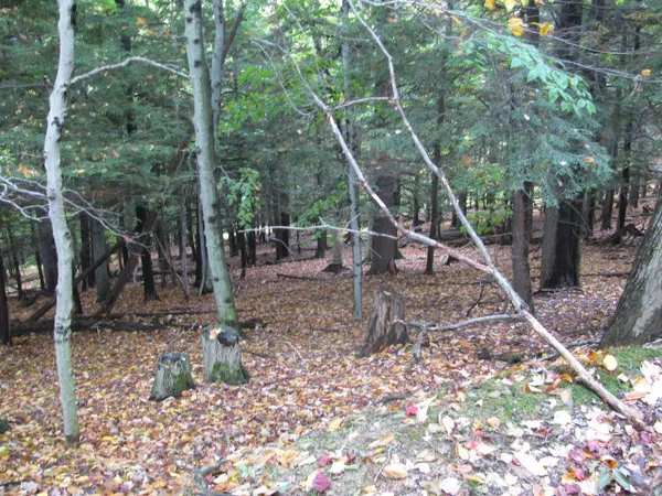 $330,000 | 62054 Highway 415, Cohocton, NY 14826