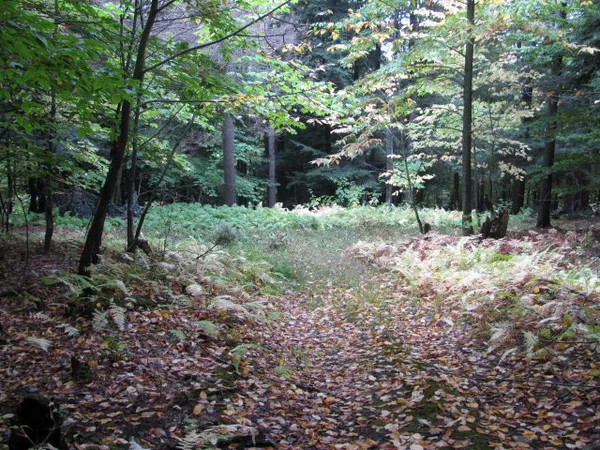 $330,000 | 62054 Highway 415, Cohocton, NY 14826