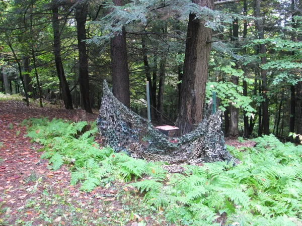 $330,000 | 62054 Highway 415, Cohocton, NY 14826