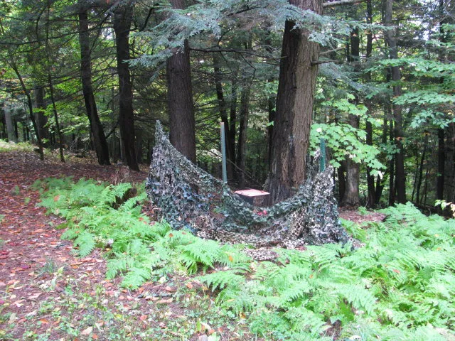 $330,000 | 62054 Highway 415, Cohocton, NY 14826