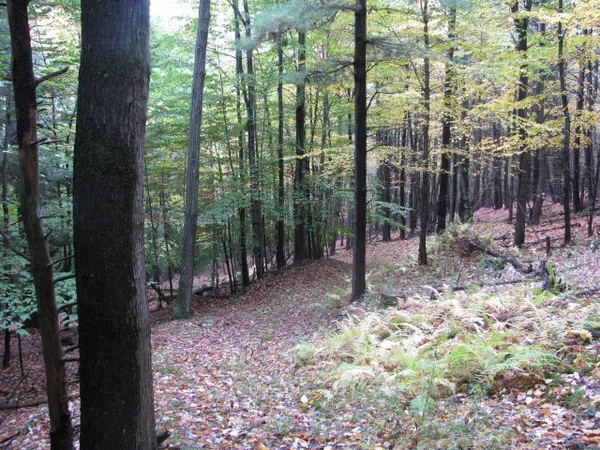 $330,000 | 62054 Highway 415, Cohocton, NY 14826