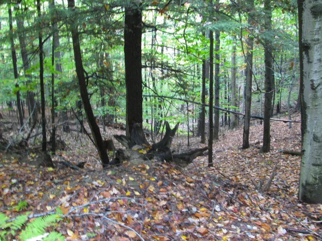 $330,000 | 62054 Highway 415, Cohocton, NY 14826