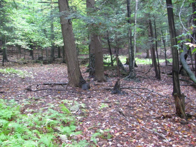 $330,000 | 62054 Highway 415, Cohocton, NY 14826