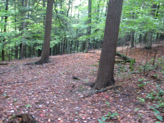 $330,000 | 62054 Highway 415, Cohocton, NY 14826