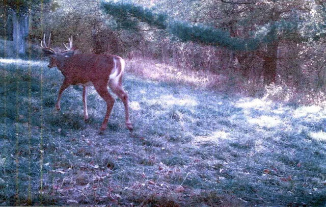 $330,000 | 62054 Highway 415, Cohocton, NY 14826