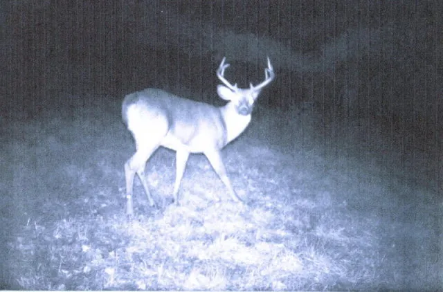 $330,000 | 62054 Highway 415, Cohocton, NY 14826