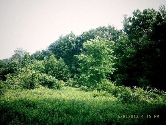 Stratham Heights Road Stratham, NH 03885 - Photo 1 of 1