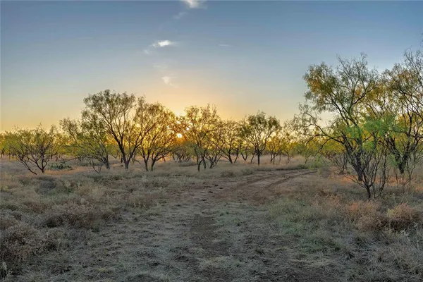a view of a field with trees in background