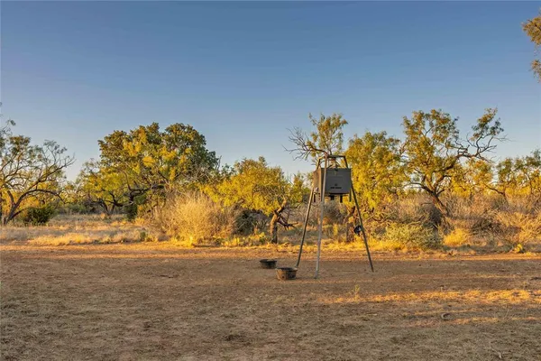 a view of a forest with trees in the background