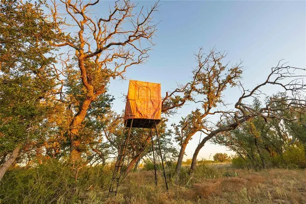 a view of a backyard of the house