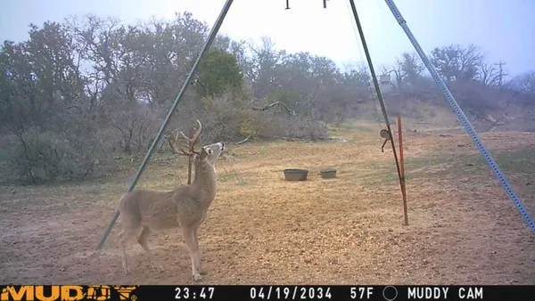 $996,525 | 8400 County Road 201, Brownwood, TX 76801