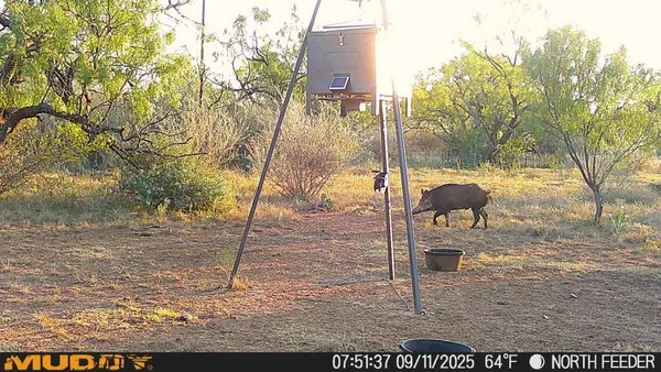 $996,525 | 8400 County Road 201, Brownwood, TX 76801