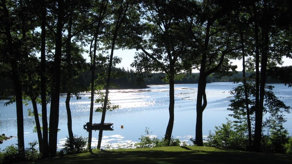 33 Bridge Road Brooksville, ME 04617 - Photo 4 of 35 Great spot for lunch or to launch...
