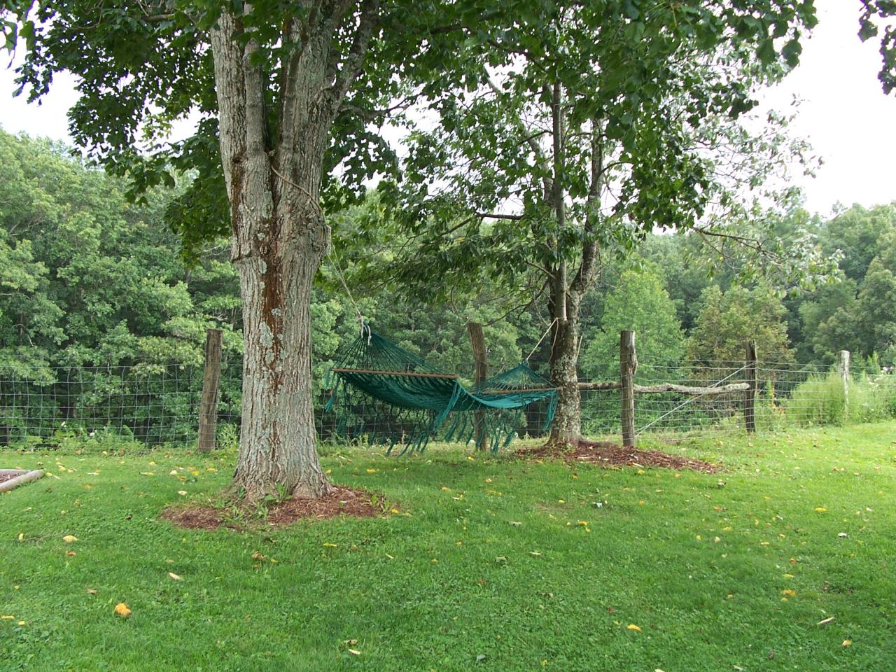 37 Vaughn Road Frankford, WV 24938 - Photo 13 of 21 Enjoy the lazy days of summer