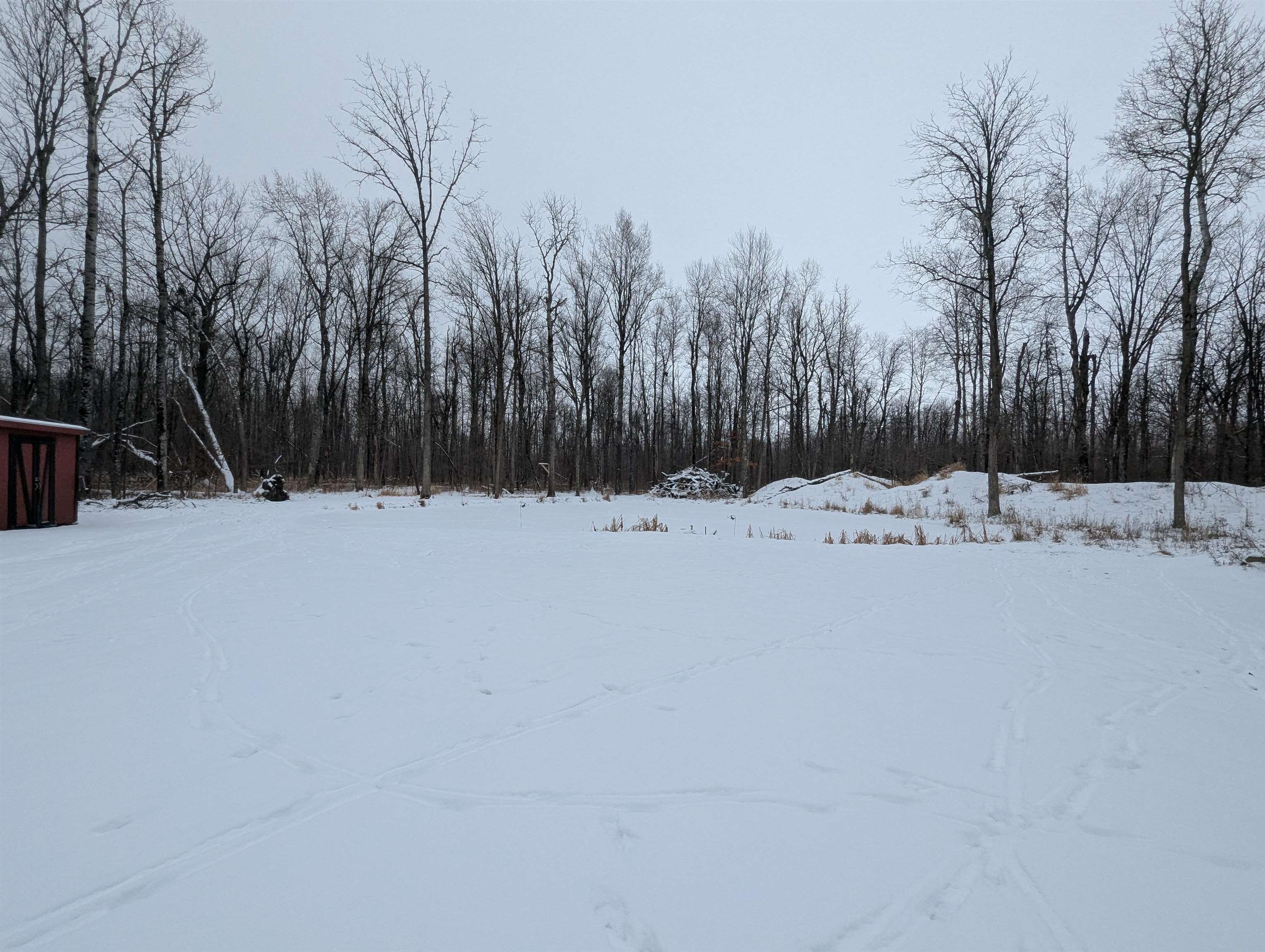 4262 Turner Road Turner, MI 48765 - Photo 10 of 43