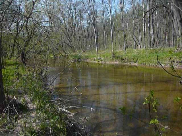 110 Wagarville Road Gladwin, MI 48624 - Photo 15 of 18 1815946-14.JPG