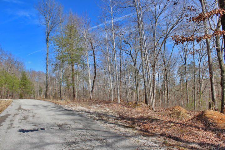 19 Haynes Knob Road Somerset, KY 42501 - Photo 7 of 7 7