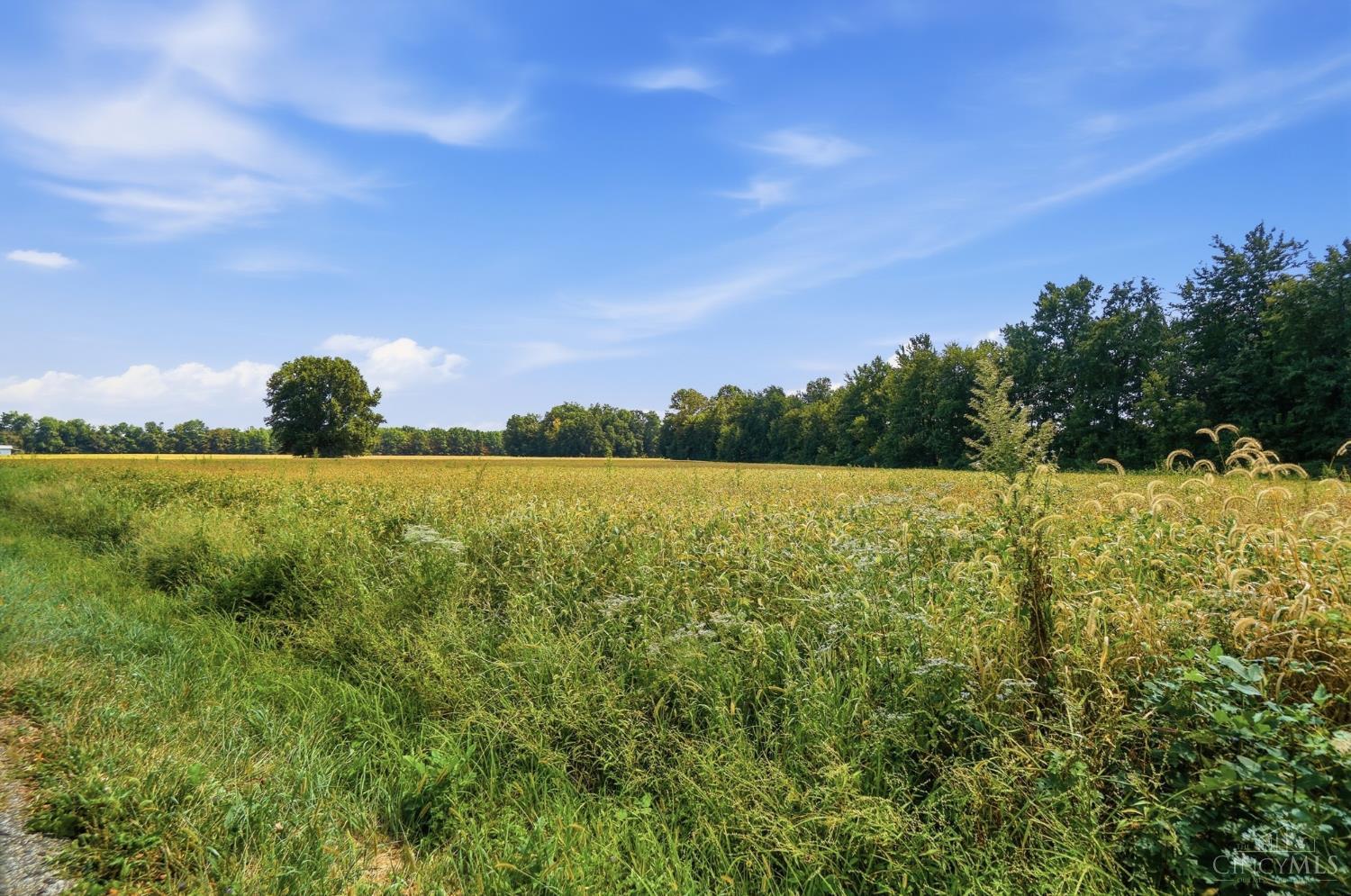 0 Sodom Road Hamersville, OH 45130 - Photo 16 of 19 Gallery Image 16
