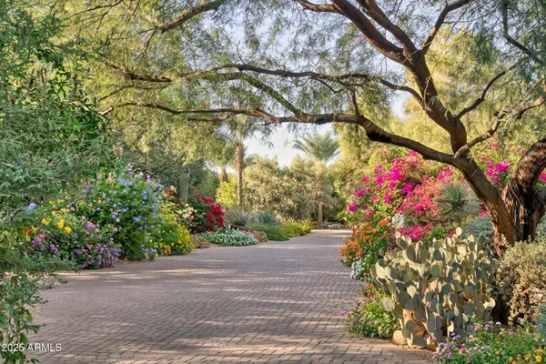 a picture of flowers