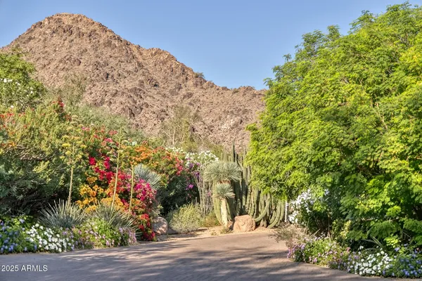 a view of a pathway in front of a house