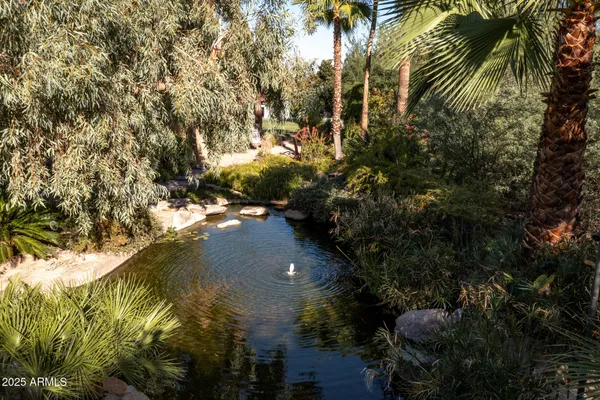 a view of a swimming pool with a yard
