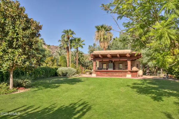 a view of a garden