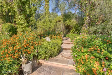 a view of a garden with plants
