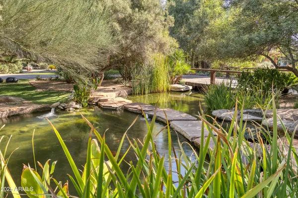a view of a yard with plants