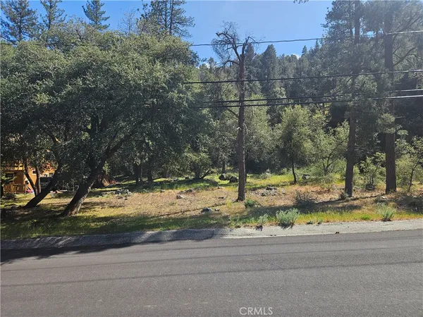$50,000 | 15716 Mil Potrero Highway, Pine Mountain Club, CA 93222
