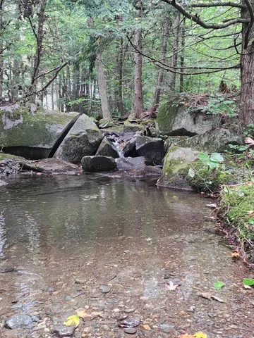 $64,999 | Piermont Heights Road, Piermont, NH 03779