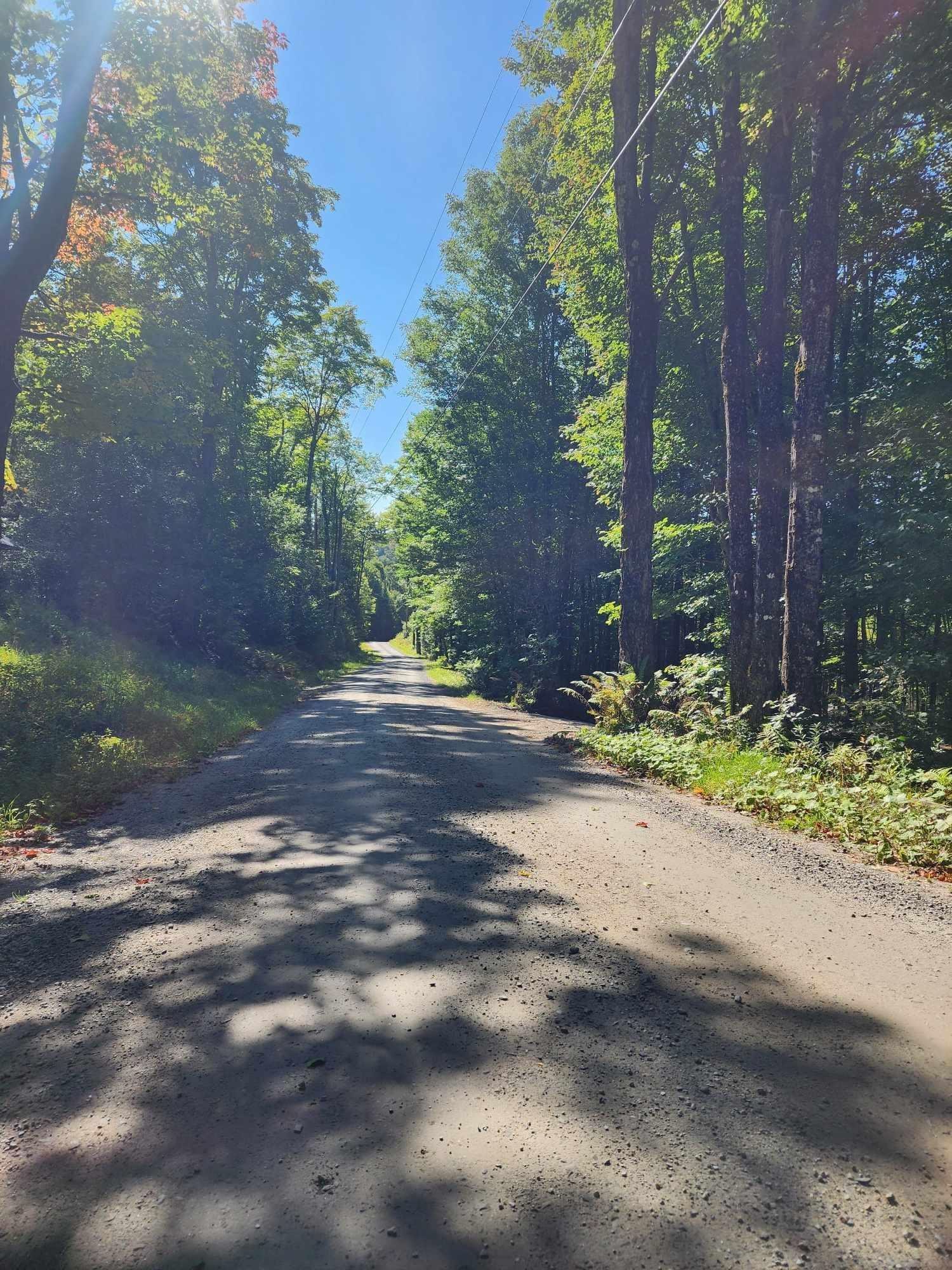 Piermont Heights Road Piermont, NH 03779 - Photo 4 of 12 Gallery Image 4