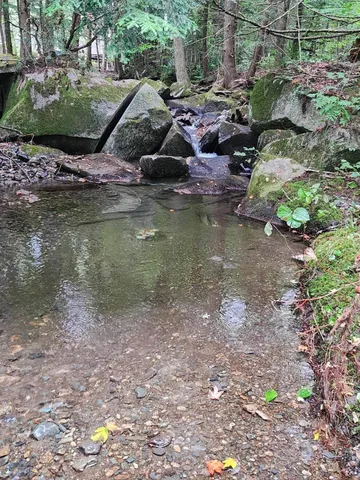 $64,999 | Piermont Heights Road, Piermont, NH 03779