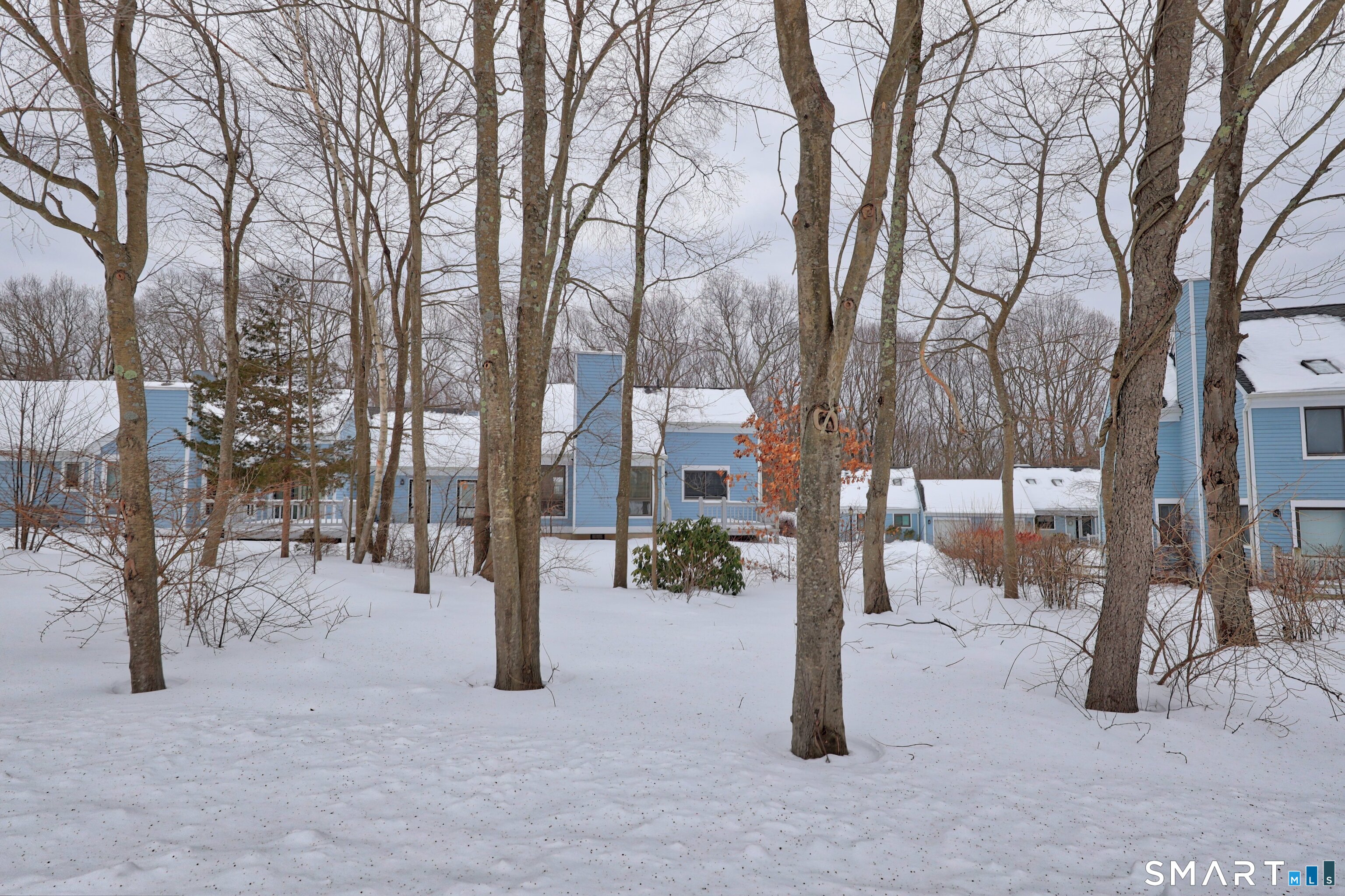 86 Cannon Ridge Drive, Unit 86 Watertown, CT 06795 - Photo 34 of 37 View of the backyard