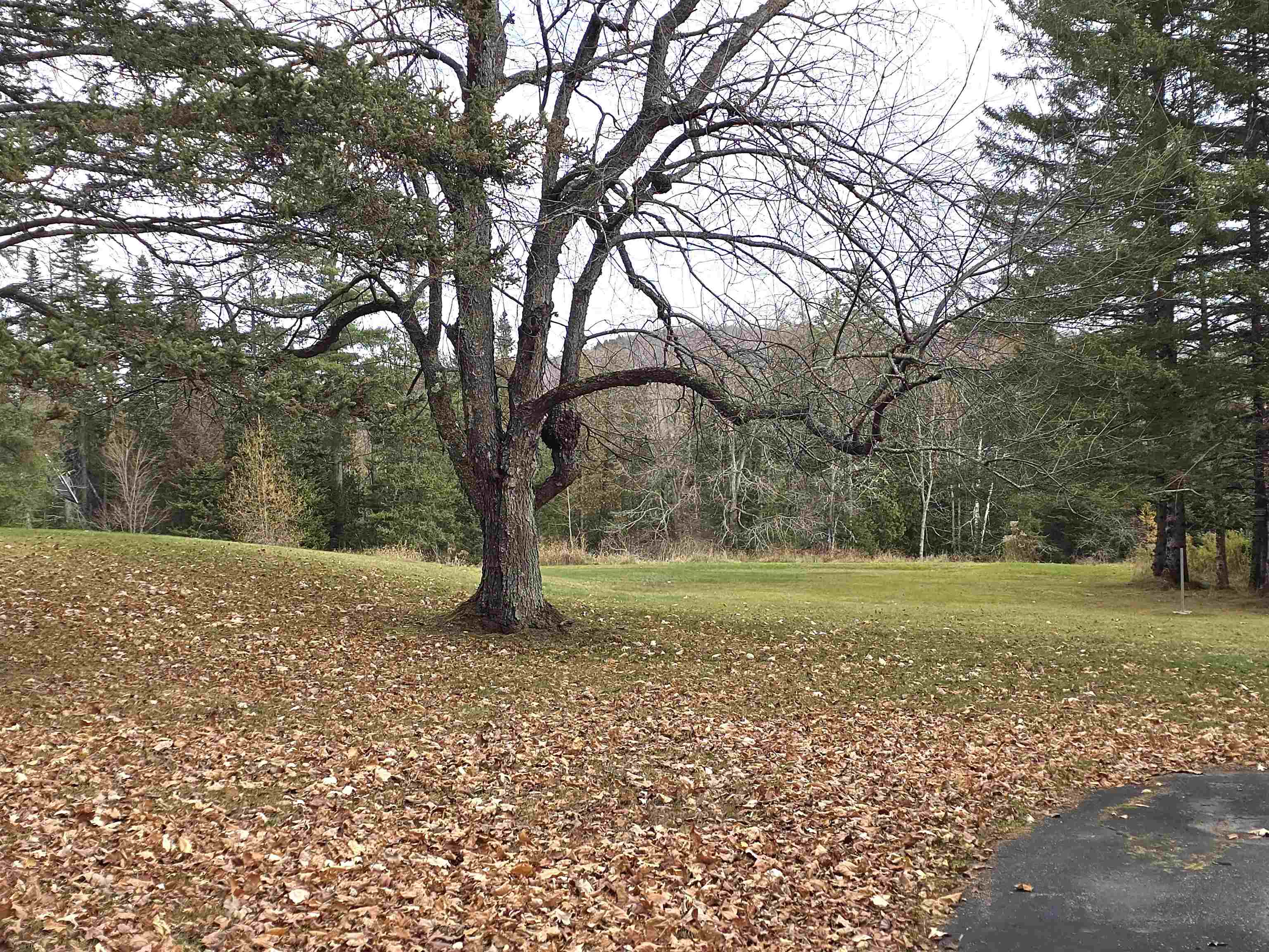 390 Hill Road Dummer, NH 03588 - Photo 29 of 56