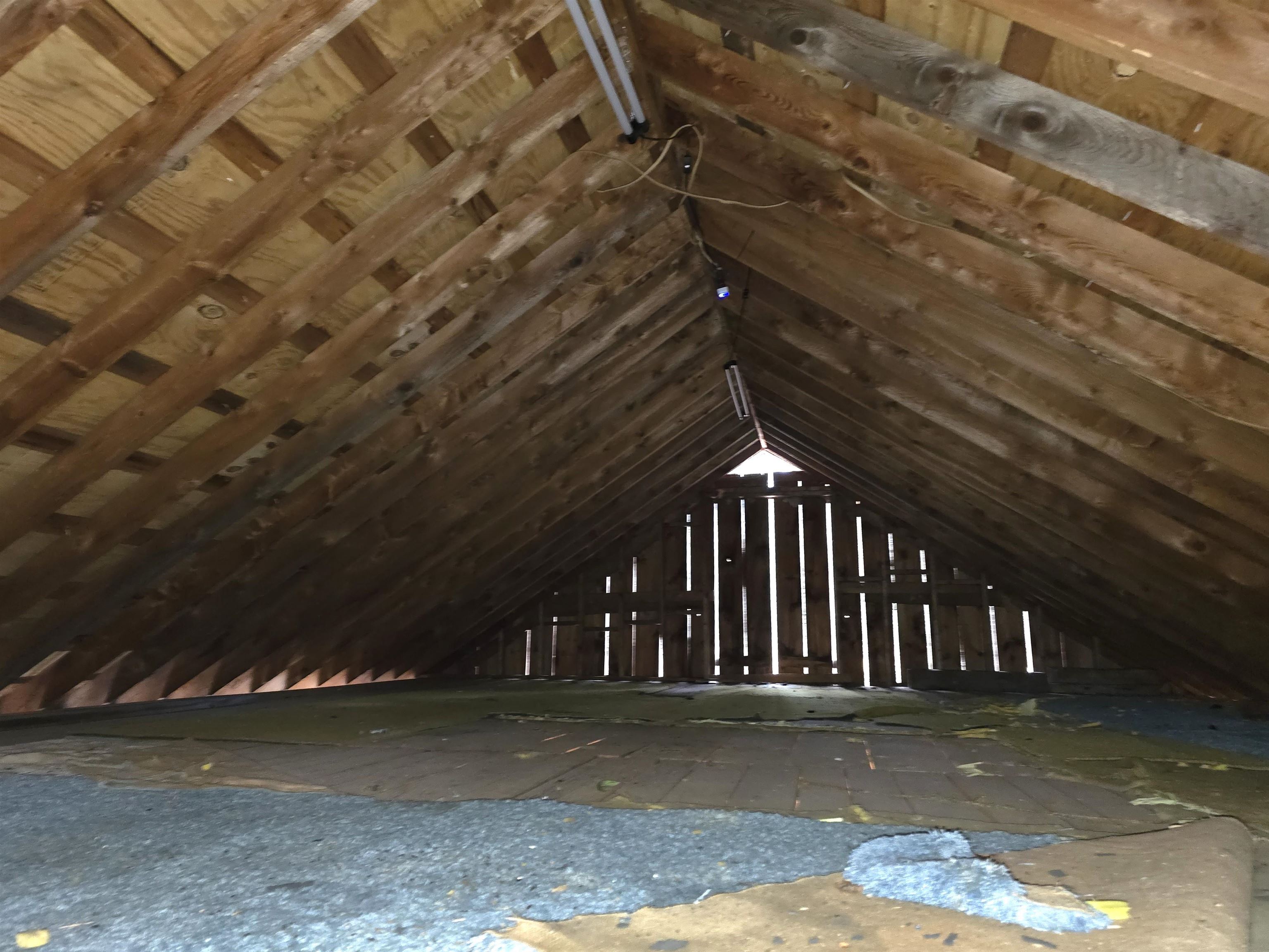 390 Hill Road Dummer, NH 03588 - Photo 33 of 56