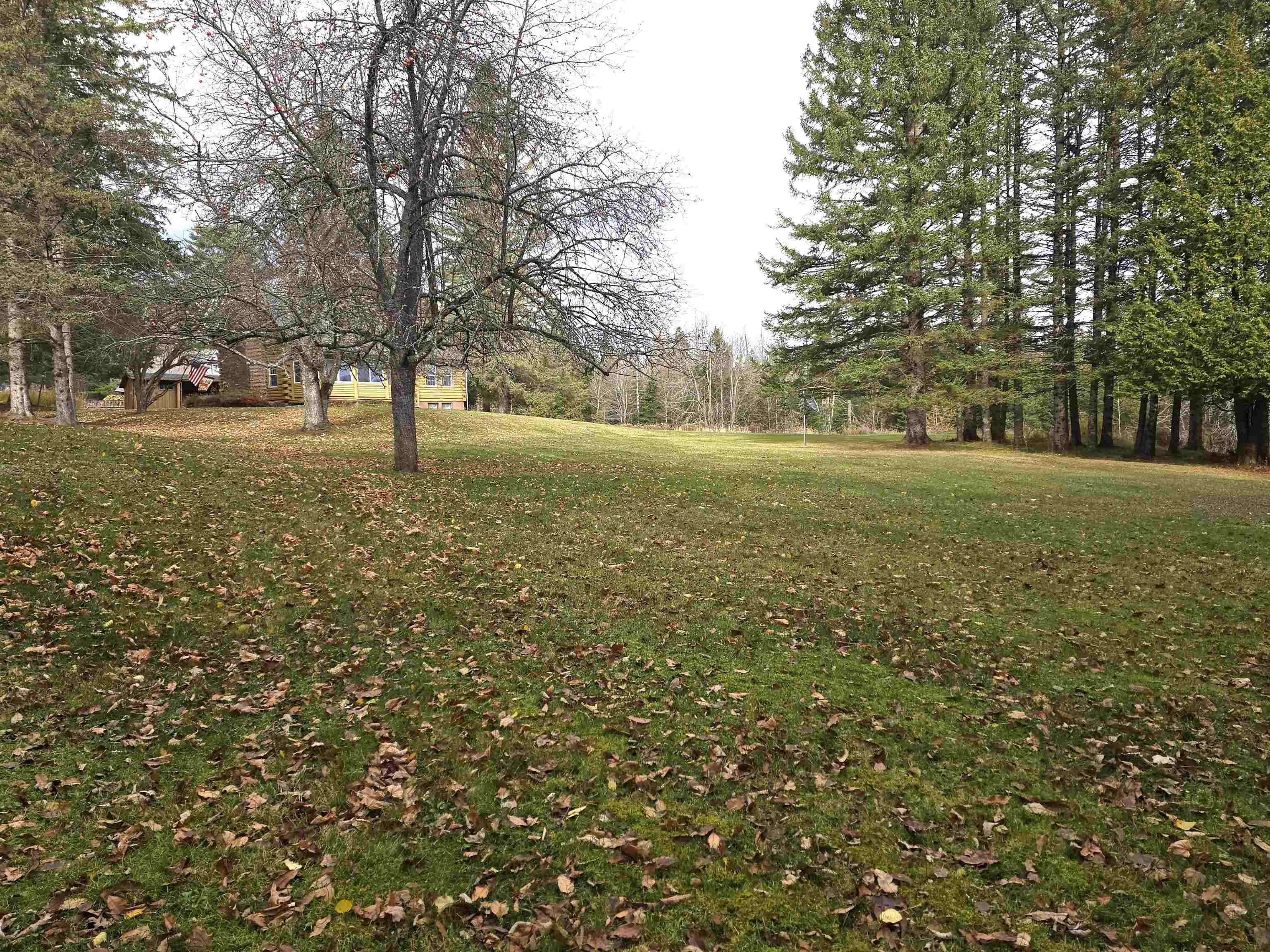 390 Hill Road Dummer, NH 03588 - Photo 49 of 56